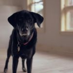 日本韩国台湾香港三级 aqj93numm