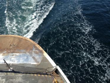 漫画大全之无彩翼漫